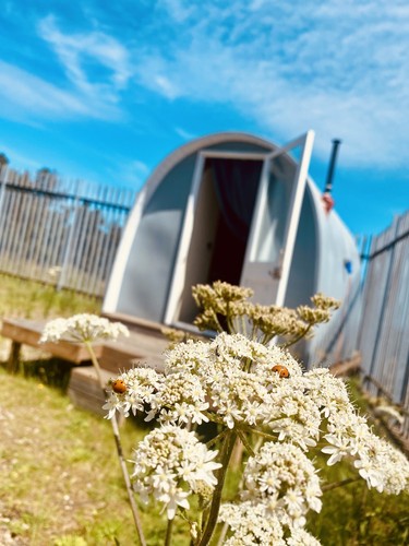 Tiny house cabin garden - tiny,