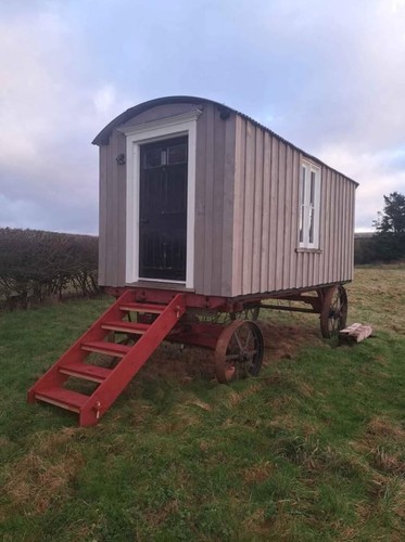 Shepherds hut glamping - glamping, pod