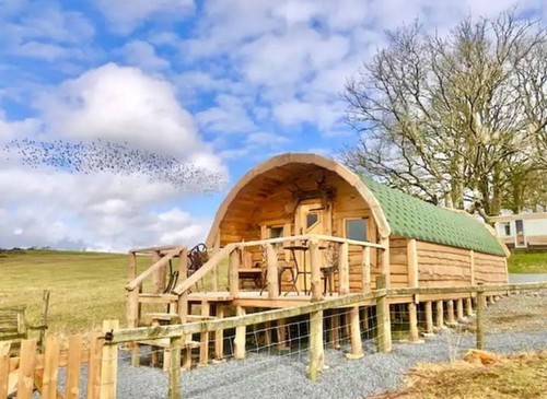 Glamping pod summer house - glamping, pod,