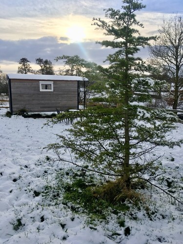 Shepherds hut home - shepherds,